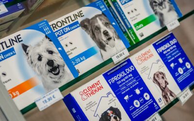 Protégez votre chien contre les tiques avec les produits Frontline et Clément Thékan